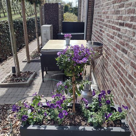 Hasbania Vakantiewoning Gingelom Esterno foto