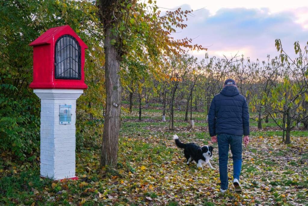 Hasbania Vakantiewoning Gingelom Esterno foto