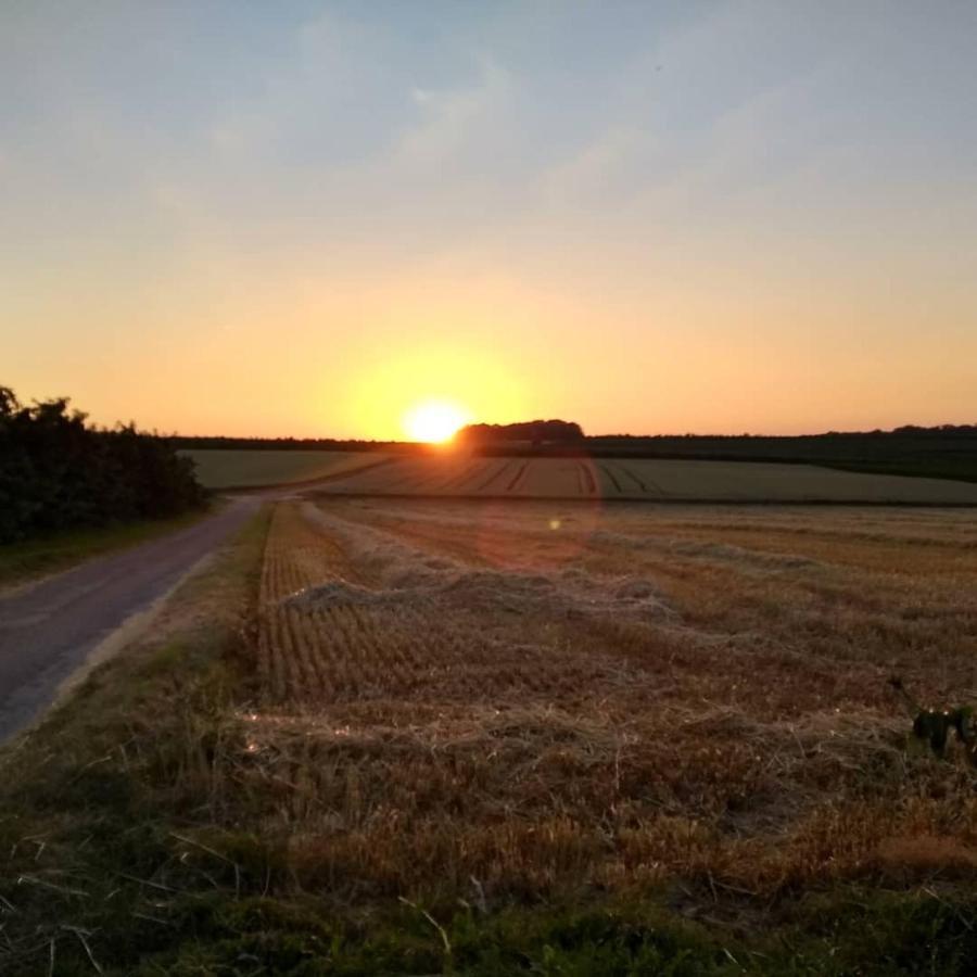 Hasbania Vakantiewoning Gingelom Esterno foto
