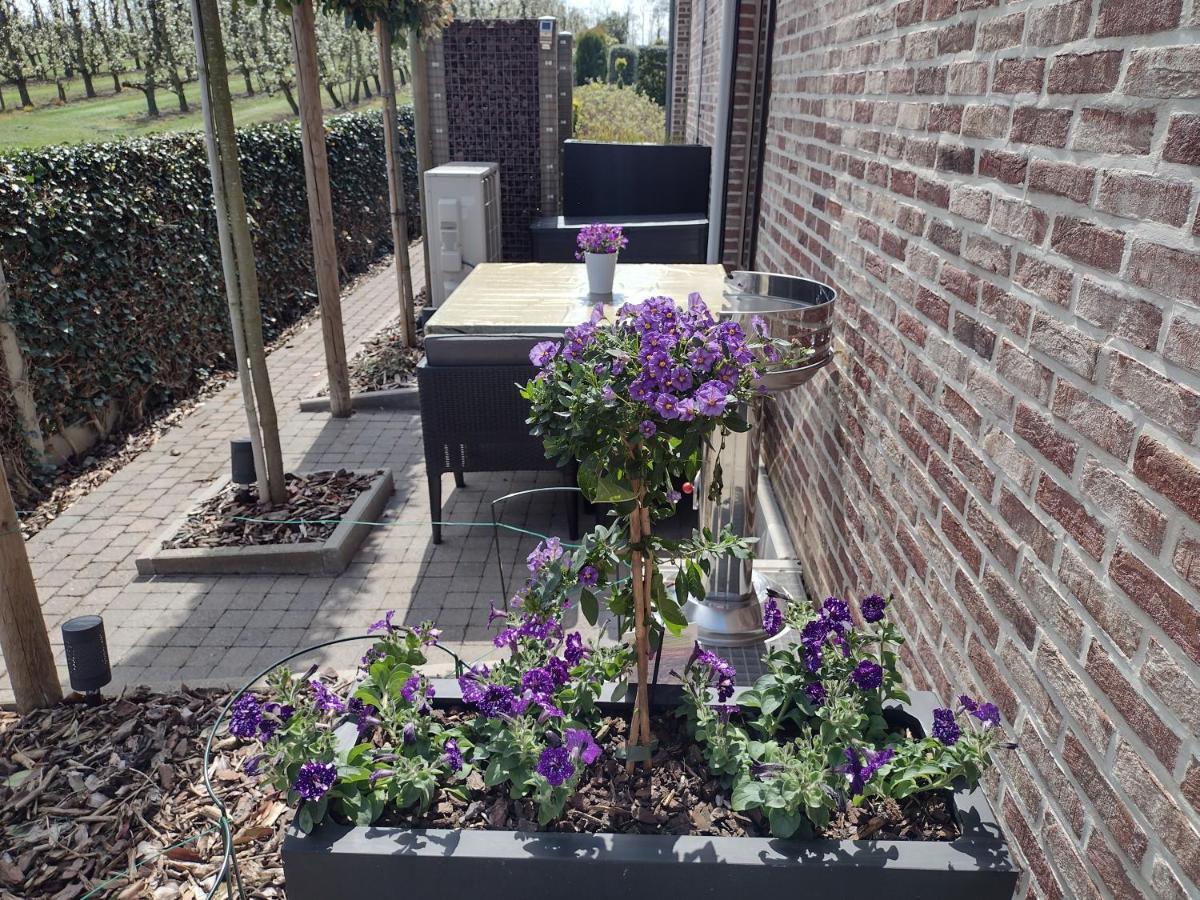 Hasbania Vakantiewoning Gingelom Esterno foto